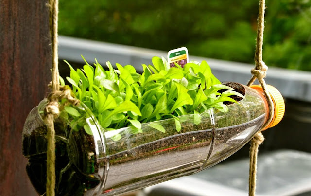 Mi Remanso De Paz : 7 Trucos Para El Jardín Con Botellas De Plástico