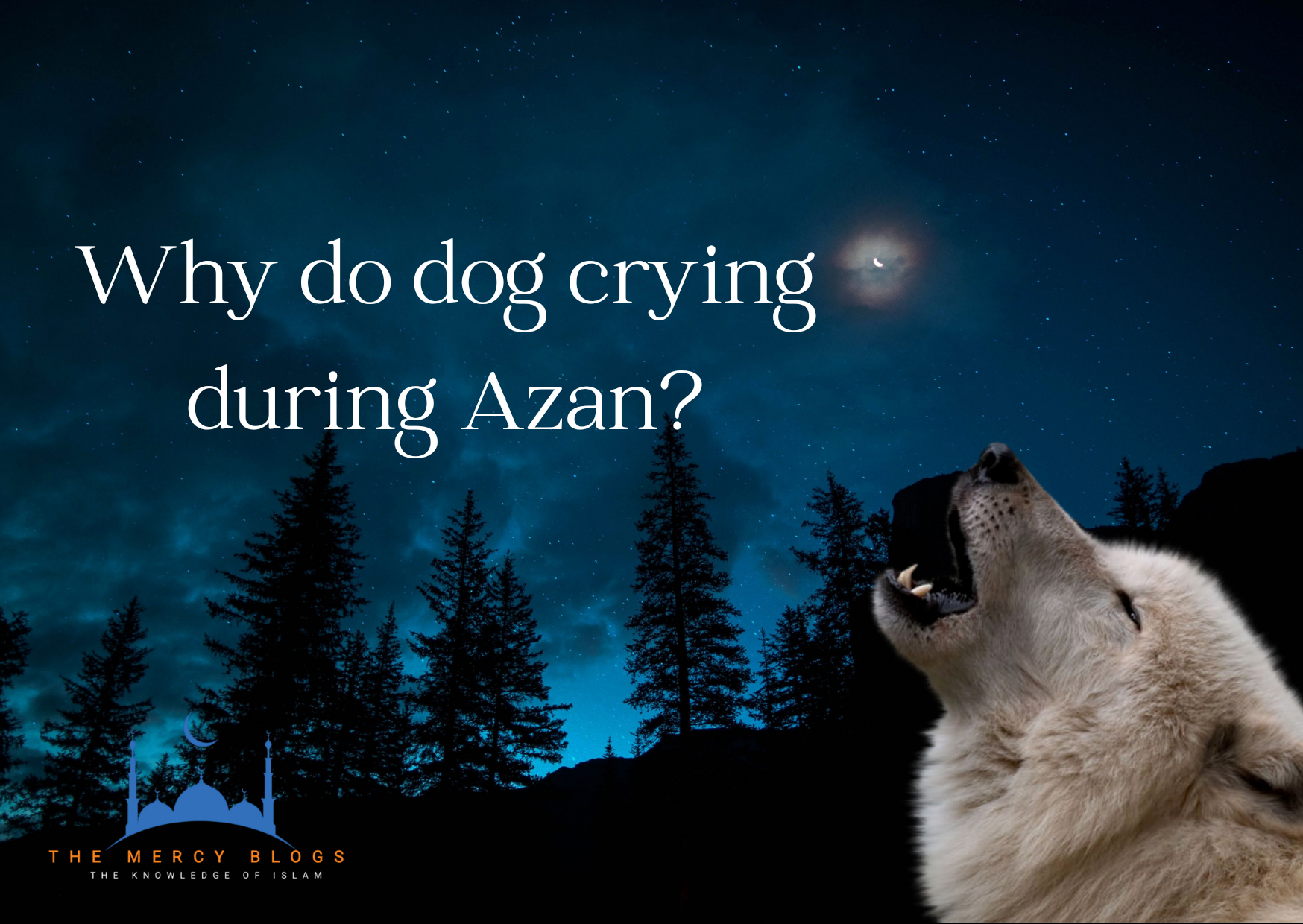 Why Do Dogs Crying During The Azan