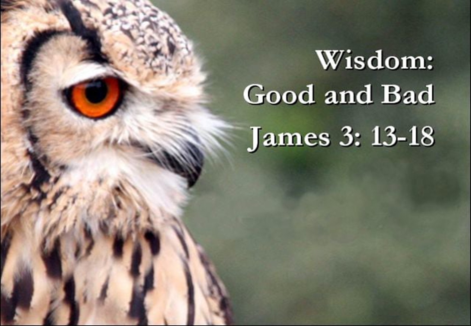 West Loop UBF - Chicago, Illinois: The Wise and the Selfishly Ambitious ...