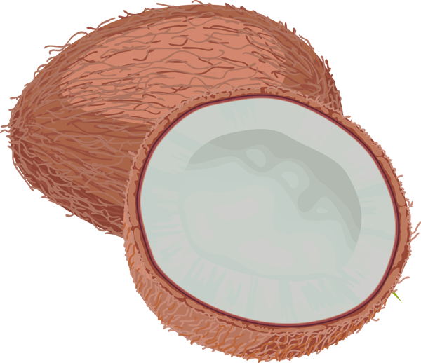 All Festivals Information 2020 What Is Coconut? Why We Use Coconut in