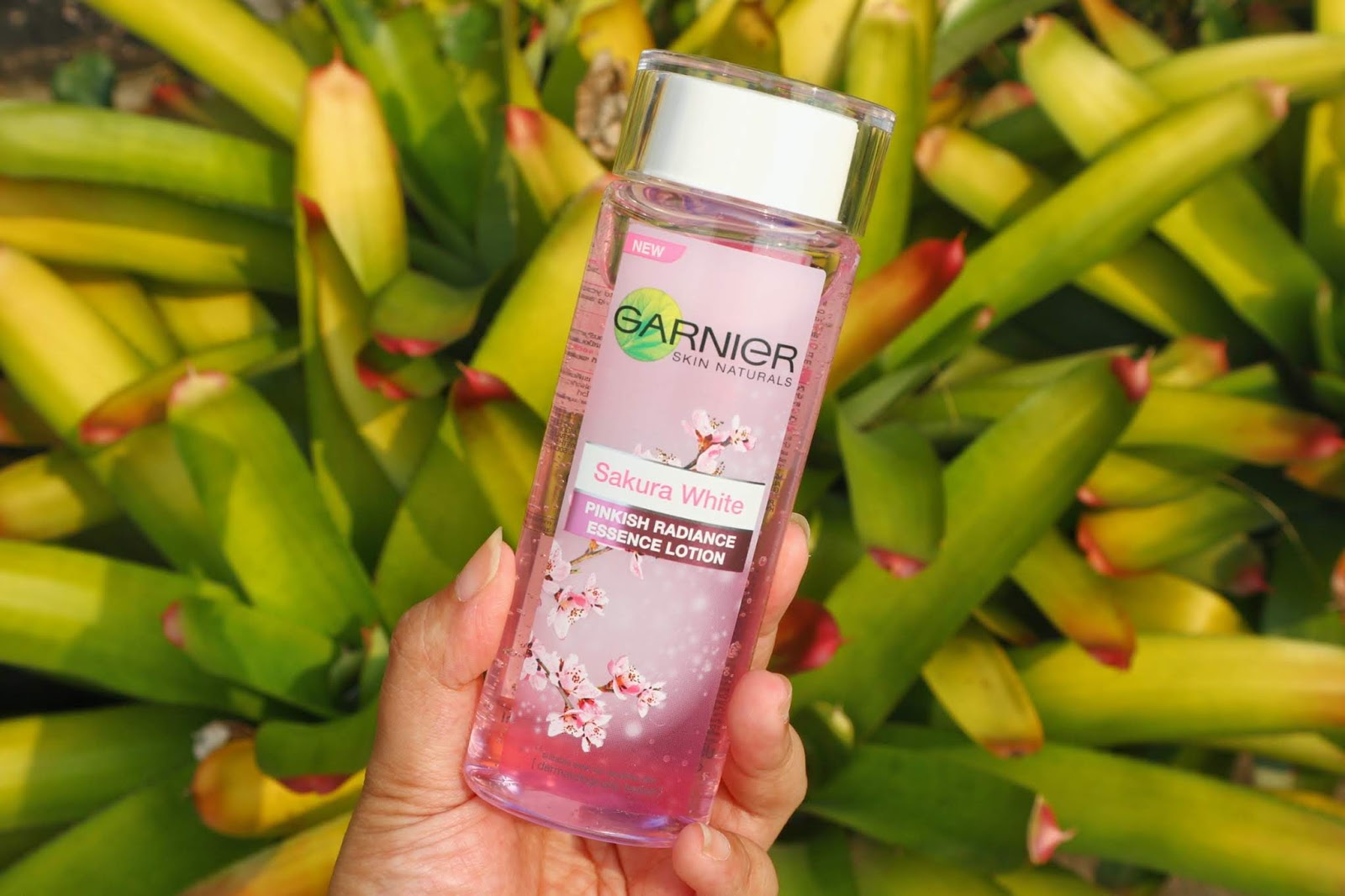 Download Ratnasari Pujiastuti Review Wajah Glowing Dengan Rangkaian Garnier Sakura White Showyourglow PSD Mockup Templates