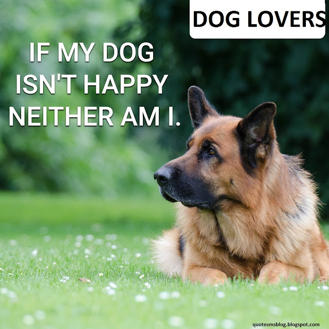 Quote Sms and Message Blog 20 Best german shepherd quotes
