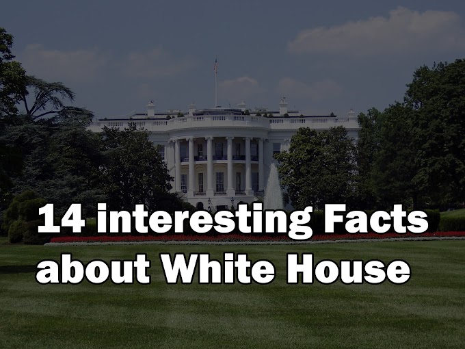 وائٹ ہاؤس کے بارے میں 14 دلچسپ حقائق / interesting Facts about White House