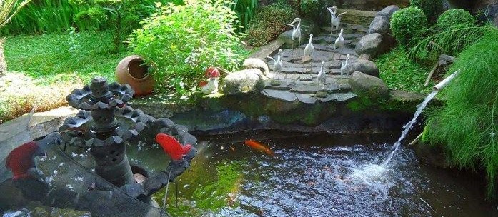 Contoh 49 Gambar Kolam Ikan Hias Minimalis Terbaik Infoikan Com