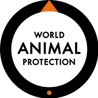 India gets the second rank in Global Animal Protection Index 2020. This Index was released by International animal welfare charity “World Animal Protection” released. The Animal Protection Index (API) aims to showcase where countries are doing well, and where they fall short on animal welfare policy and legislation.