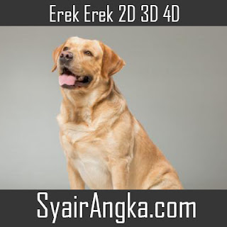 Erek Erek Anjing di Buku Mimpi 2D 3D 4D Lengkap