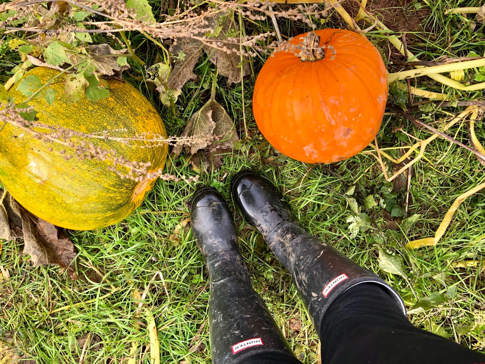 That Liz & Those Boys A Family and Lifestyle Blog Pumpkin Picking at