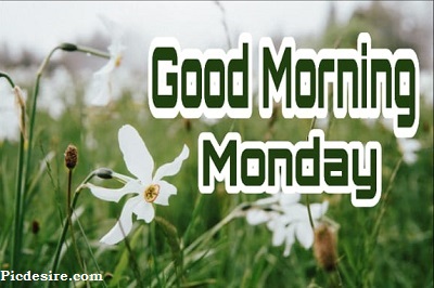 Good Morning Monday | 15+ Best Good Morning Monday Images Good Morning Monday | 15+ Best Good Morning Monday Images