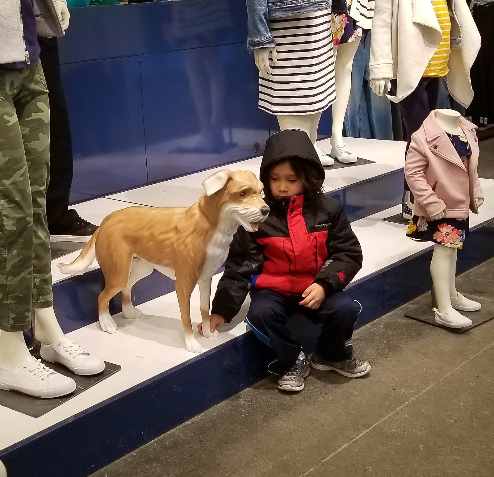 Dog at Old Navy