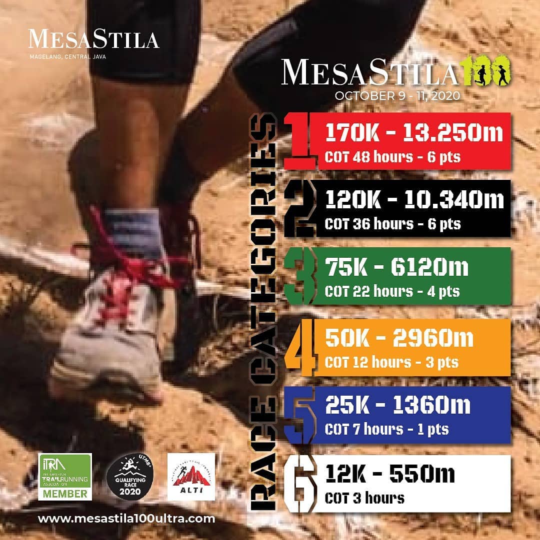 MesaStila 100 • 2020 MesaStila 100 • 2020