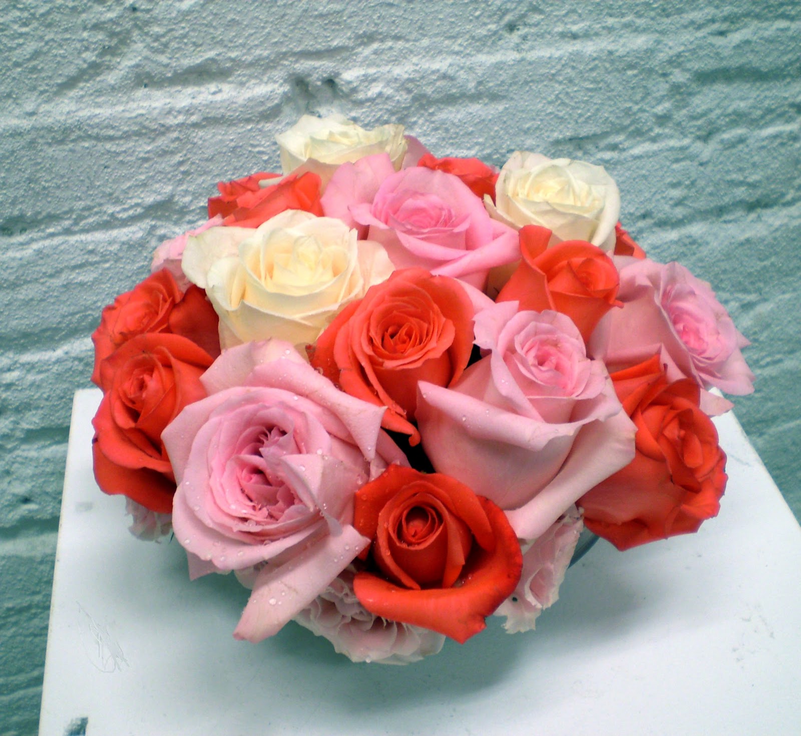 Hibiscus Blog June Birth Flowers