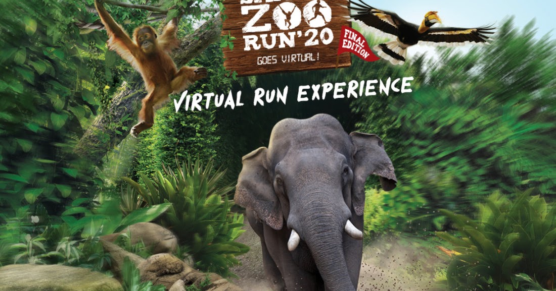 Safari Zoo Run Goes Virtual | The Wacky Duo | Singapore Family