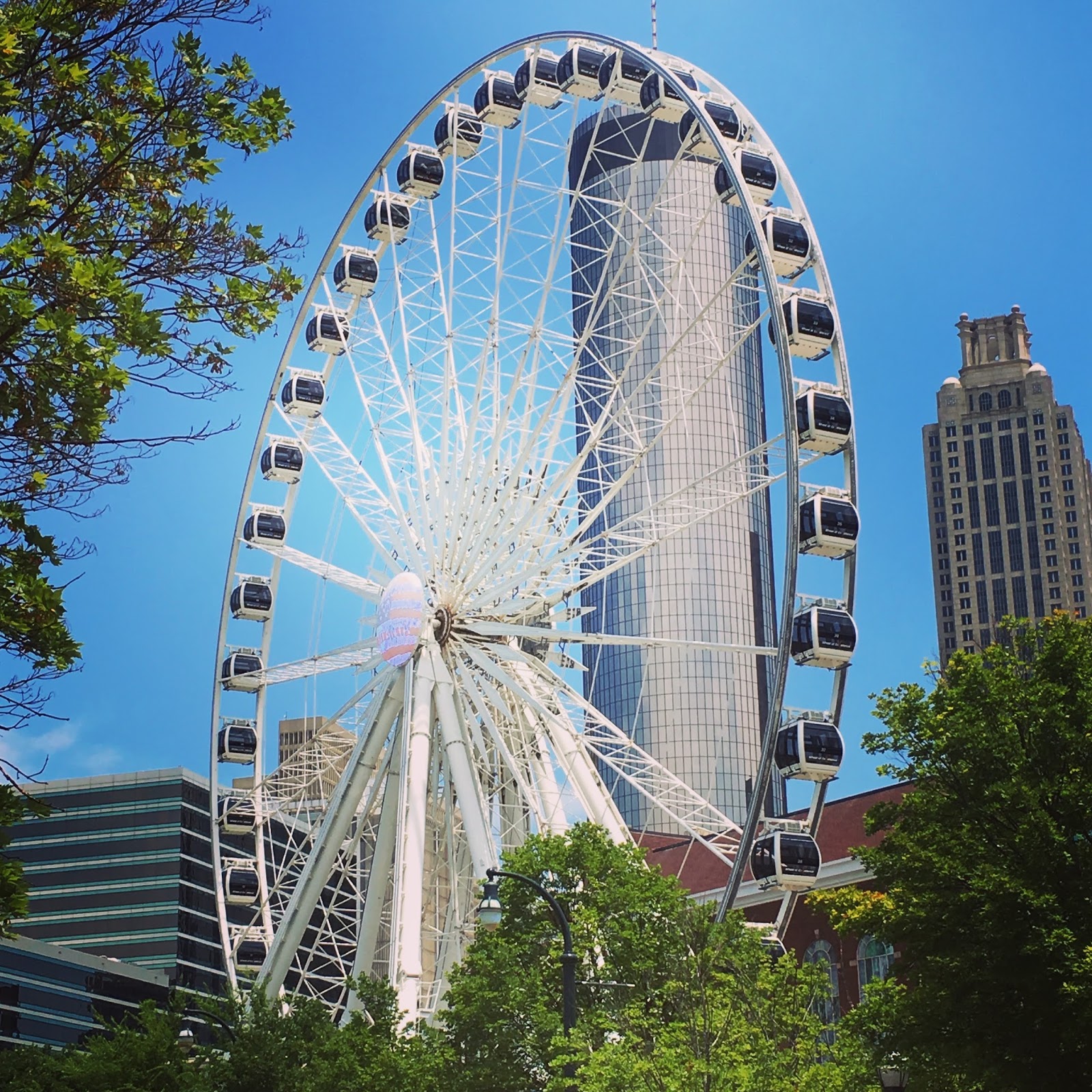 Magnolia Mamas Atlanta Attractions Sky View Atlanta
