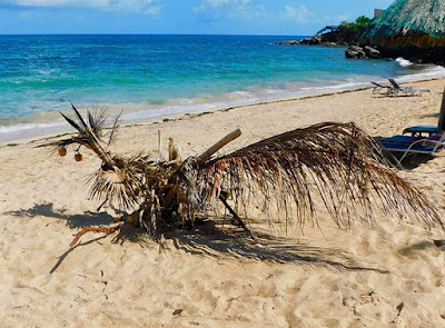 mystical, bliss beach, beach art, creativity, beauty, magic of paya, guests, art, paya bay resort, #payabay, #payabayresort, 