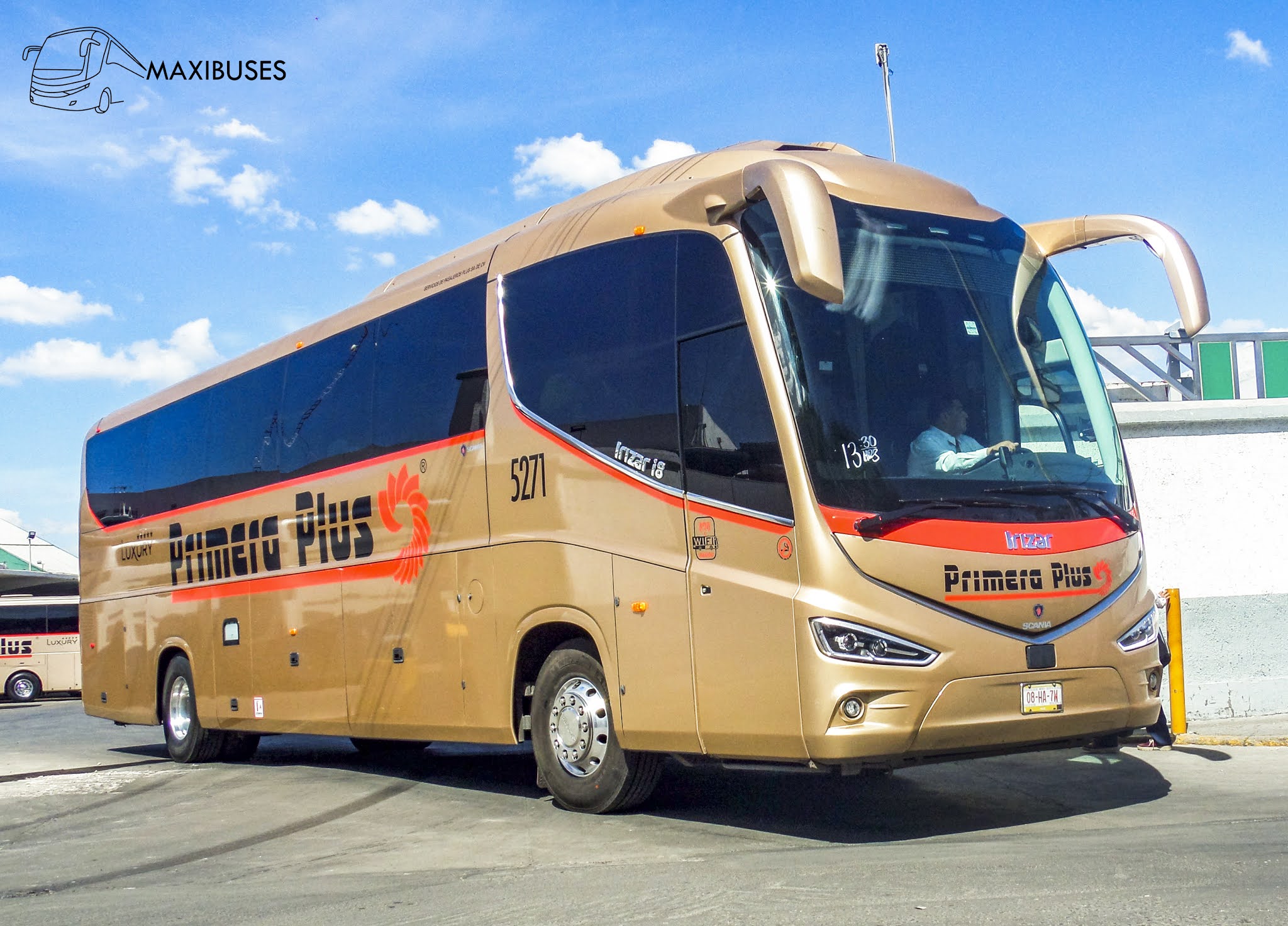 MAXIBUSES PRIMERA PLUS