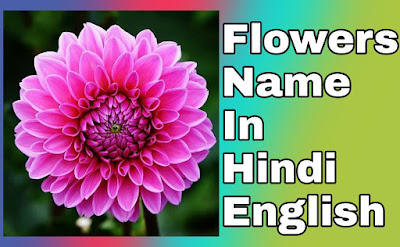 Flowers Name in Hindi and English | 40 फूलो के नाम
