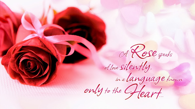valentine day wishes for lover valentine day wishes for lover