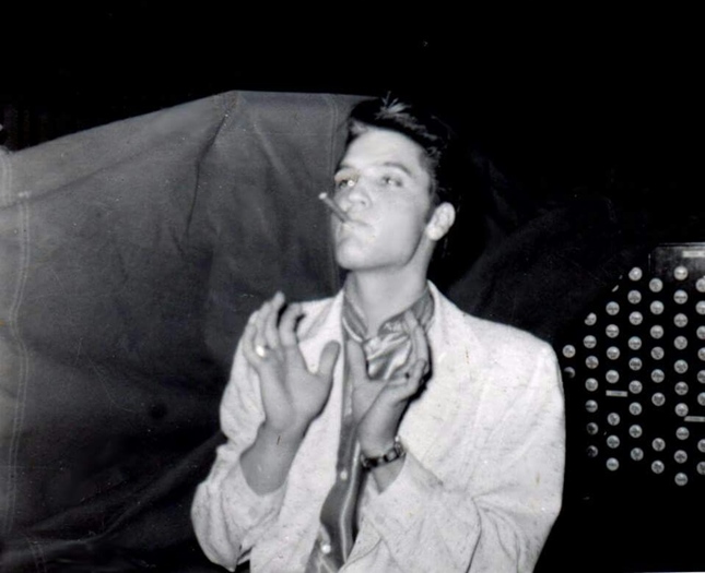 GrazieElvis Elvis Presley Official Fan Club RECENSIONE CONCERTO