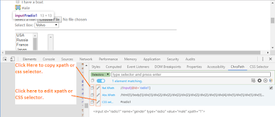 copy xpath in chropath