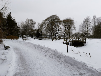 Luminen kävelytie Hatanpään Arboretumissa, kuvassa paljon puita ja pensaita