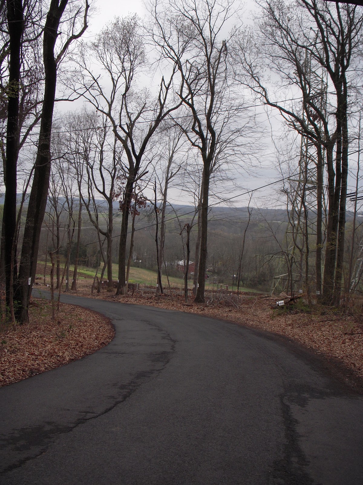 Hill Slug Chronicles Frenchtown Coffeetown Easton