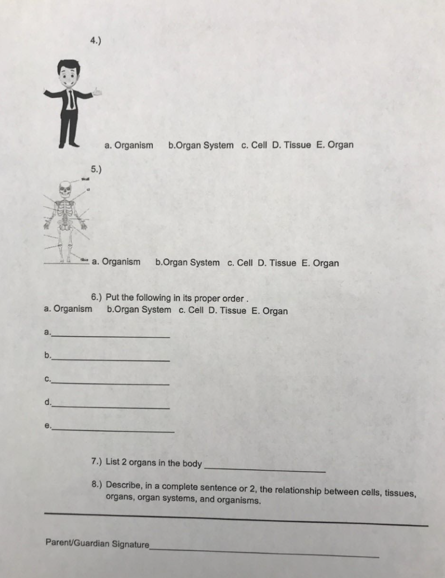 Home link 1-11 image