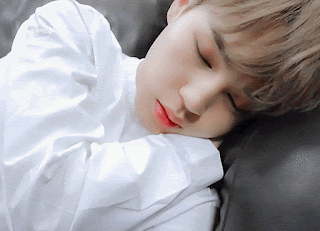 P20190809_115459381_5C9B0BF3-1900-4B3F-9