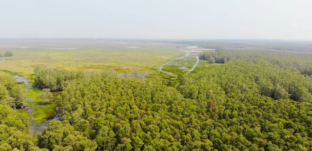 Tram Chim National Park in Dong Thap Muoi