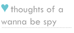 Thoughts of a Wanna-Be Spy