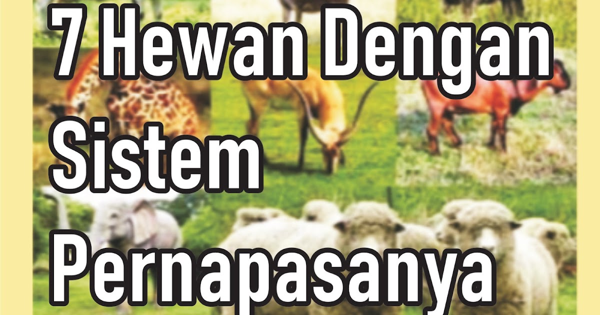 7 Hewan Dengan Sistem Pernapasanya Materi Kelas V Sd Mi Tema 2