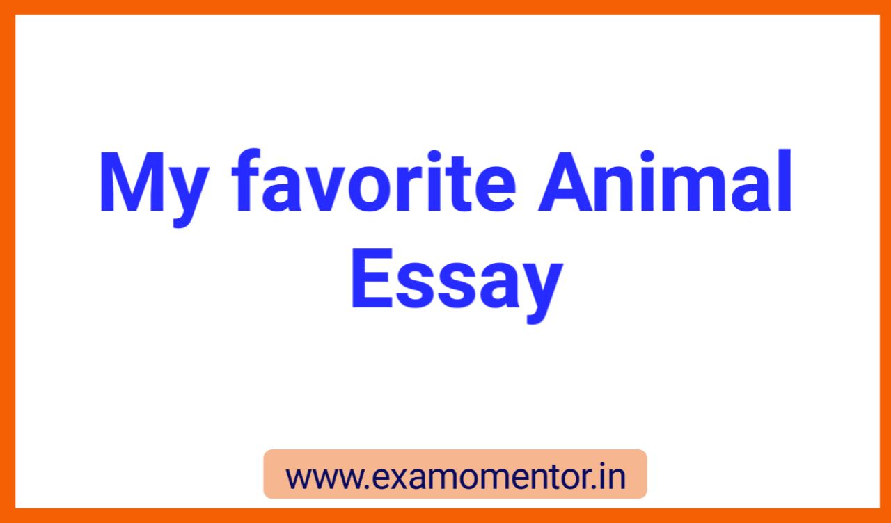 Essay on my favourite animal | My Favourite Animal Essay - Examo Mentor  Essay