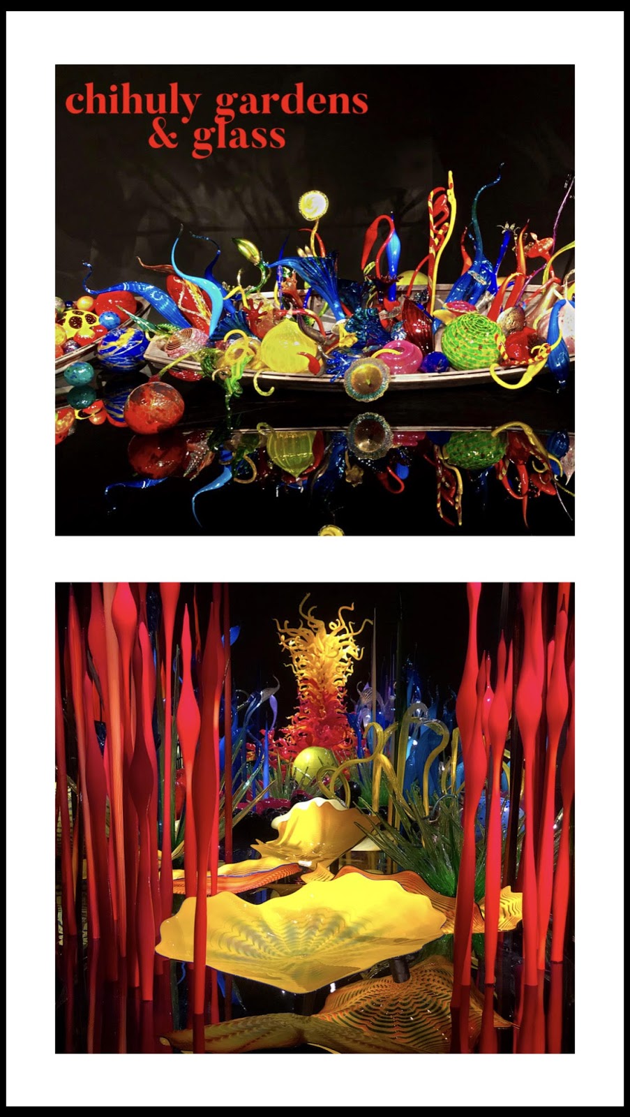 Seattle Part I Hotel 116 Bellevue Chihuly Garden Glass And The Space Needle Wgtravel Seattle2019 Visitseattle Cafe Delites