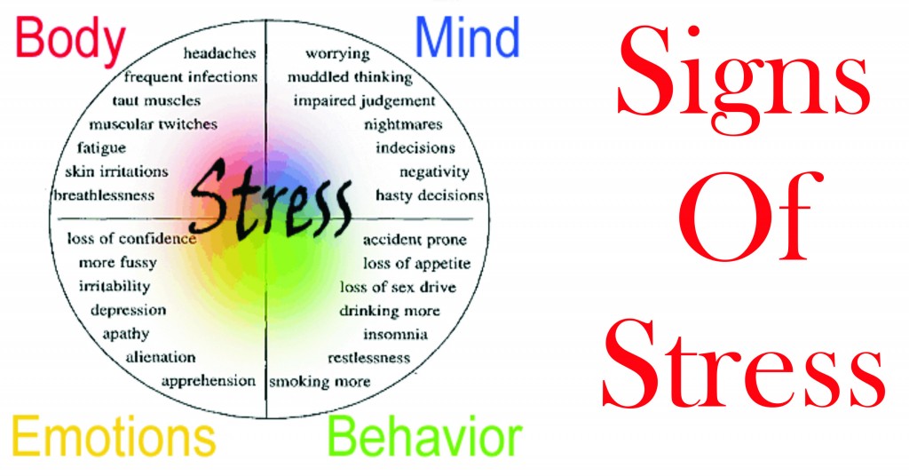The Effects Of Stress And Trauma On