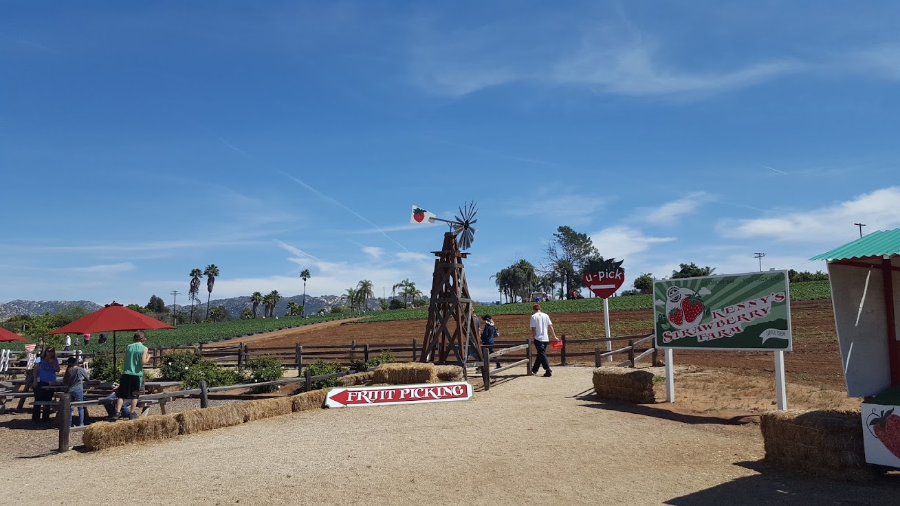 SoCal Blog KENNYS STRAWBERRY FARM FALLBROOK, CA