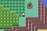 Pokemon Emerald Final Screenshot 06
