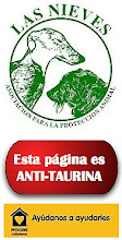 Protectora de Animales