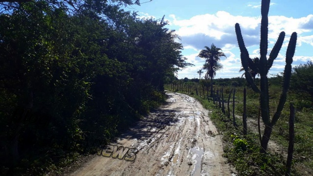 Chuva traz esperança a lavradores da zona rural de Várzea da Roça na Bahia