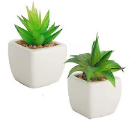 piantine artificiali per ufficio