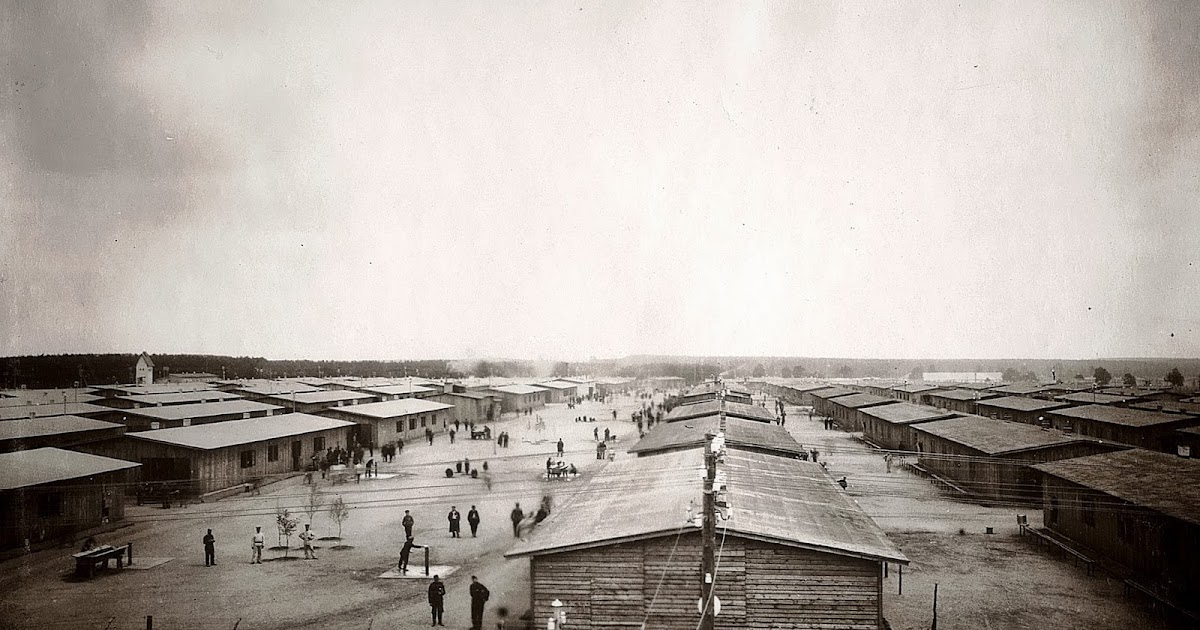 Calluna Magazin August 2016