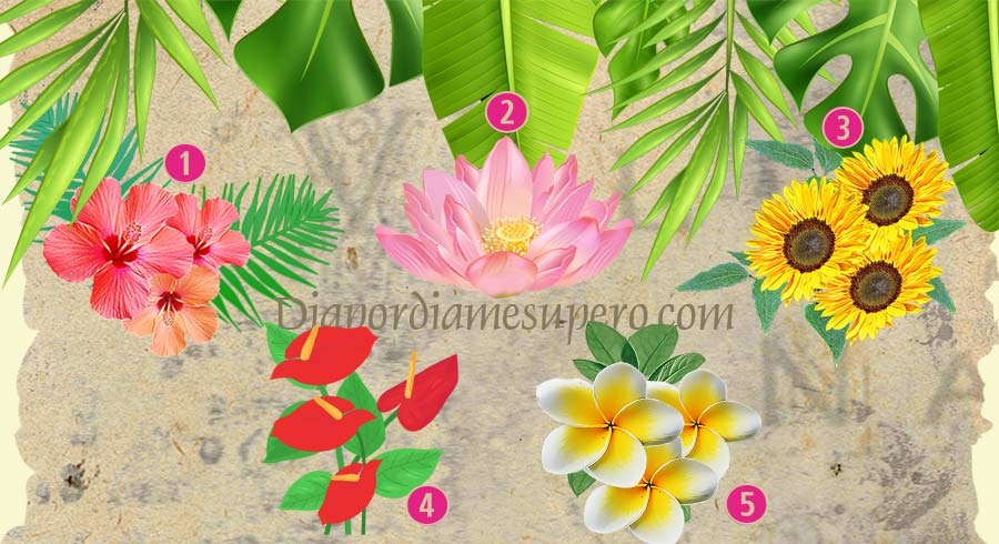 Test de las Flores Tropicales Test de las Flores Tropicales