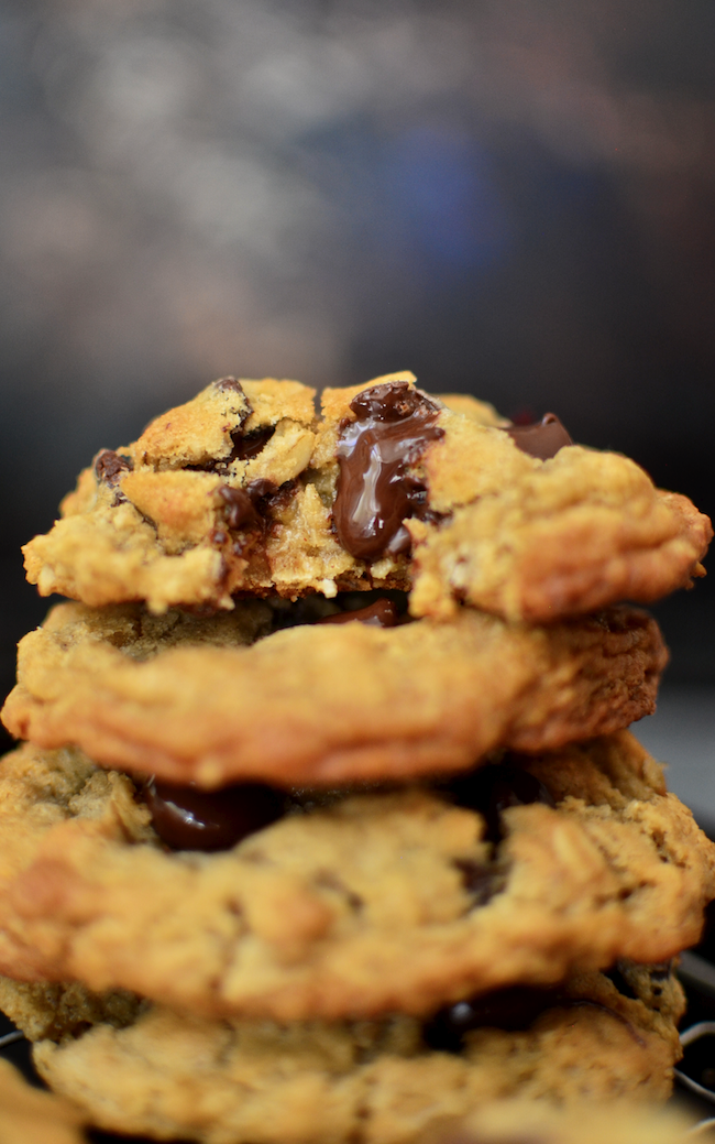 Yammie's Noshery The Big, Fat, Chewy Oatmeal Cookie