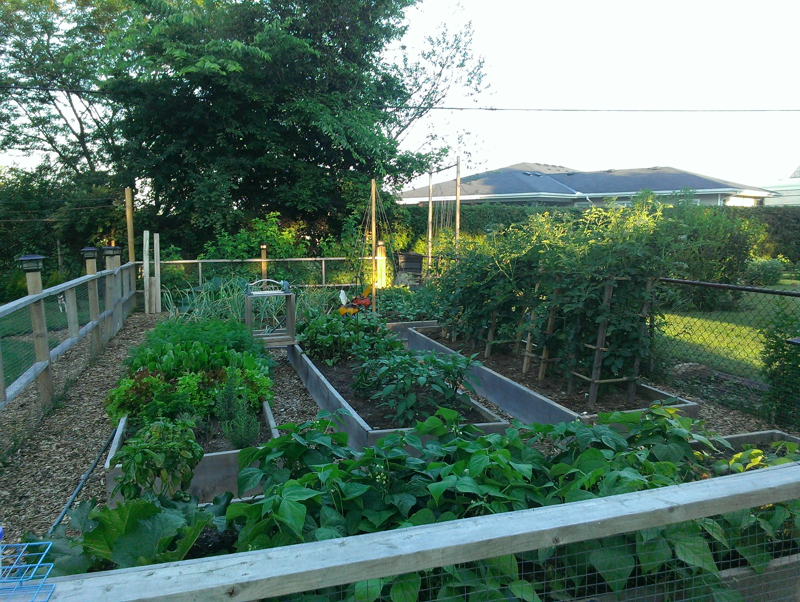 Announcing a New Yeast Bank! & A successful Yeast Hunt Sui Generis