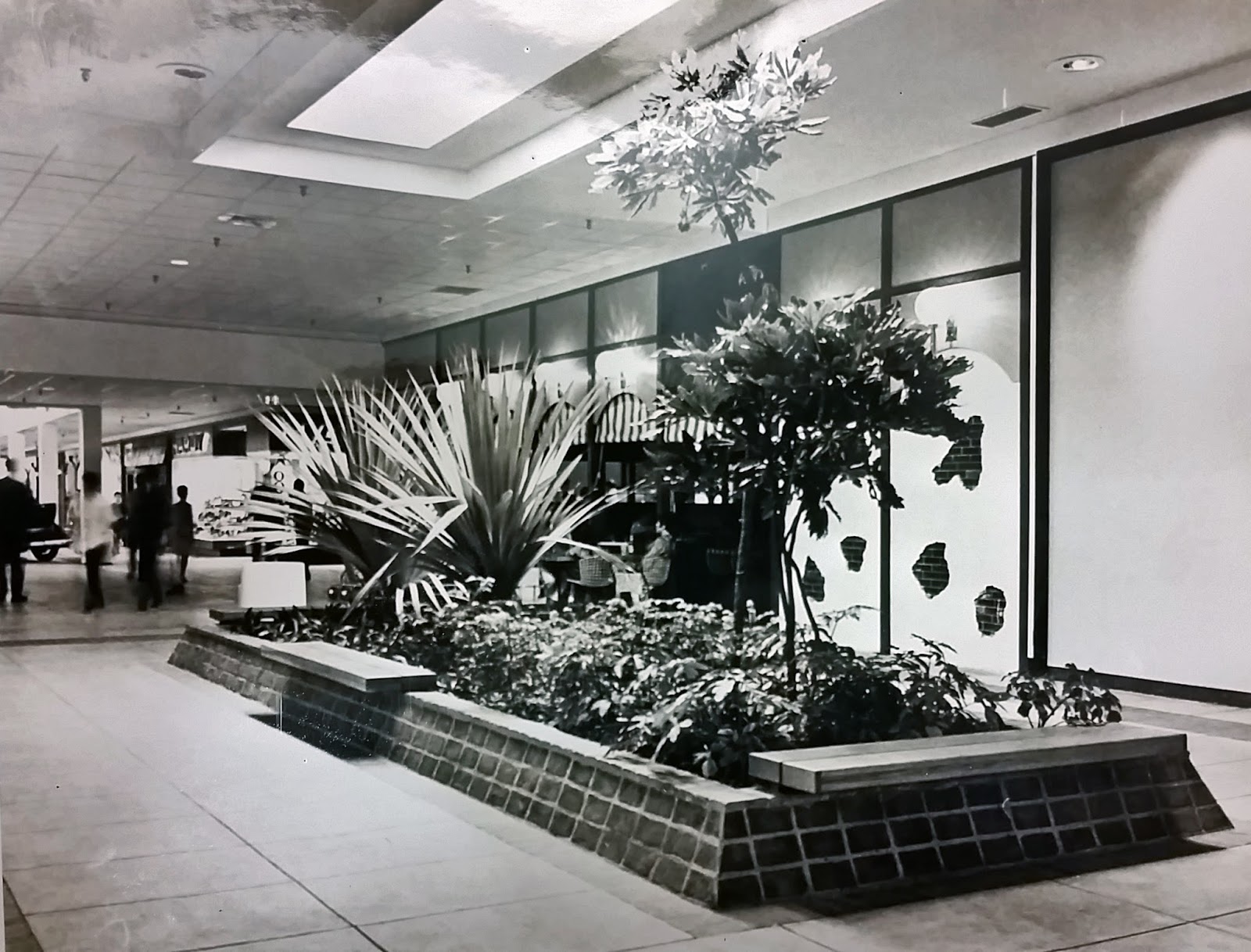 South Belt Houston Digital History Archive Almeda Mall