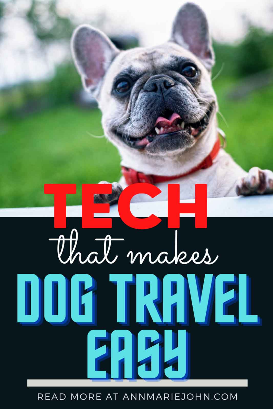 The Latest Tech Trends That Will Make Traveling With Your Dog Much Easier