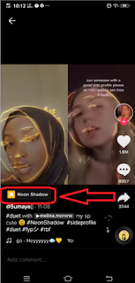 How to get tiktok neon shadow filter [fast and easy]