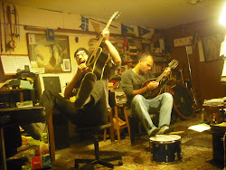 birds insane fly did were