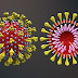 Anticorpo que neutraliza o novo coronavírus é identificado por cientistas em testes de laboratório 