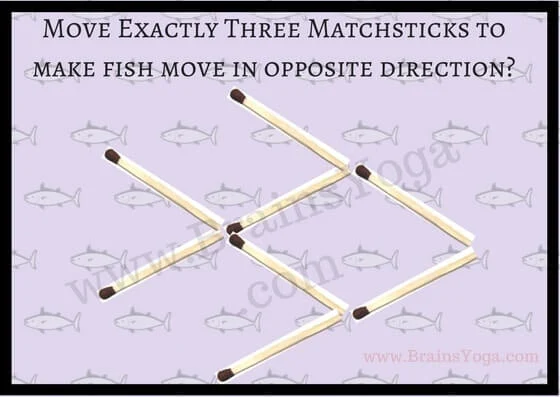 Picture Puzzle using matchsticks