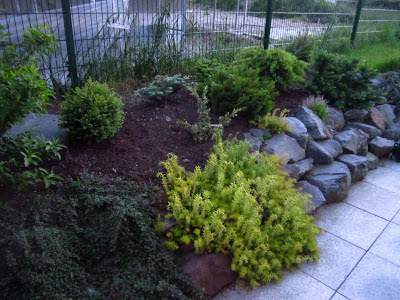 Unser schöner Garten: Im Koniferenbeet