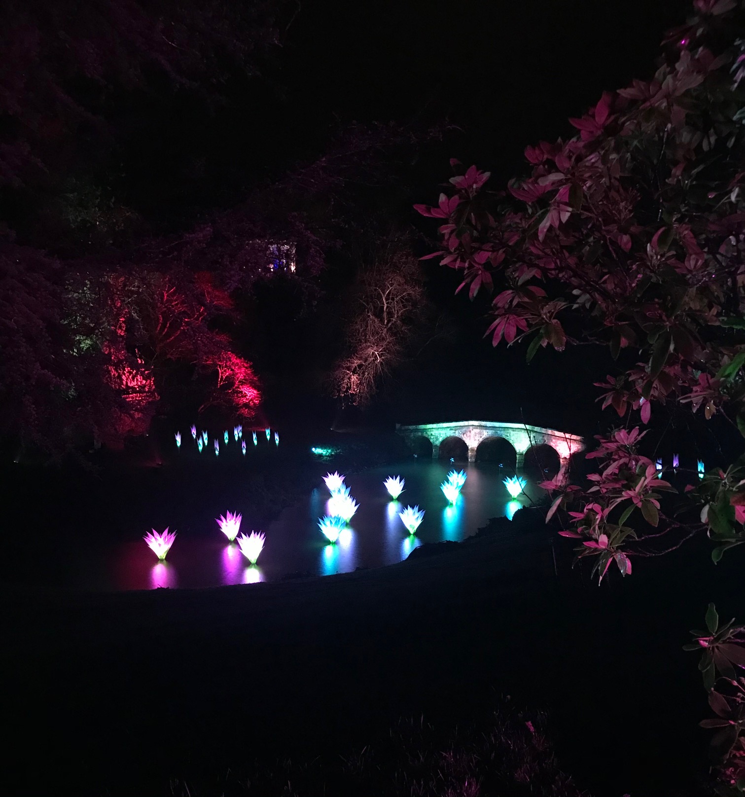 Christmas lights at Stourhead